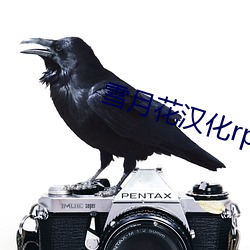 雪(雪)月花(花)汉化rpg游戏安卓