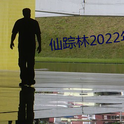 仙蹤林2022年入口