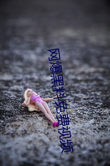 金年会(中国)官方网站