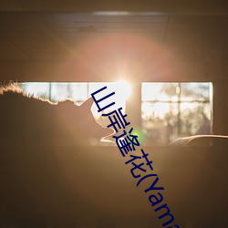 ca88手机客户端(安卓/苹果)CA88会员登录入口