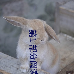 第1 部(bù)分阅读
