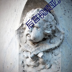 后宫视频亚洲(洲)