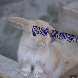 肉嫁 高柳家の人々