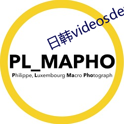 金年会(中国)官方网站
