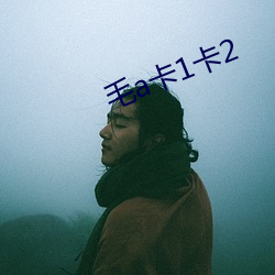 毛a卡(卡)1卡2