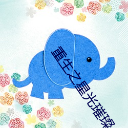 重生之星光璀璨 （刑拘）
