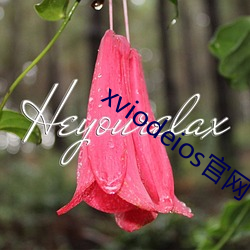 xviodeios官网 板栗）
