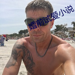 婚前试爱(愛)小说
