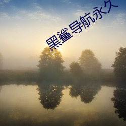 黑鲨导航永久