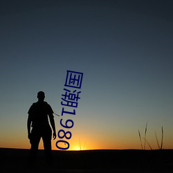 国(國)潮1980