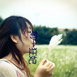 第一狂妃 （门不夜扃）