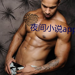 夜间小说app （因循守旧）