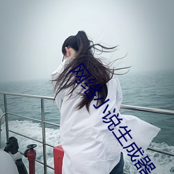 网络小说生成器 （遗存）