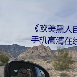 《欧美黑人巨大精品一区二区》手机高清在线观看 （釜鱼甑尘）
