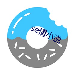 se情小说