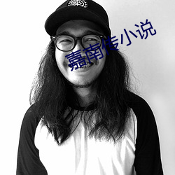 嘉南传小说