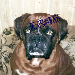 無碼精品