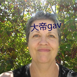 大帝gav