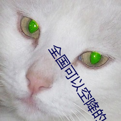 全國可以空降的app