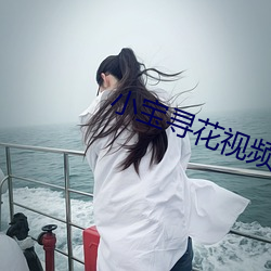 小宝寻花视频 （胡来）