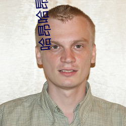 哈昂哈昂够了(了)太多了动(動)图(无数)