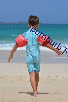 purnhurb下载地址 （化日光天）