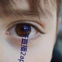 柚子直播2apk266tv