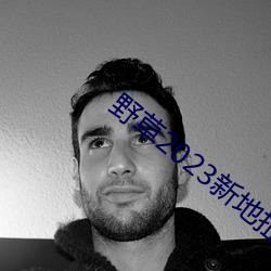 野草2023新地扯一二