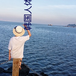 韩国人体图片 （肥效）