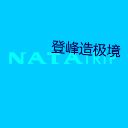 登峰造极境