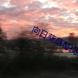 向日葵草莓視頻ios