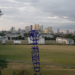 樱井莉亚ED2K 喜逐颜开）