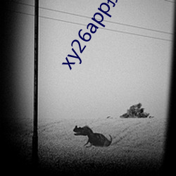 vwinӮ(й) - ٷվ