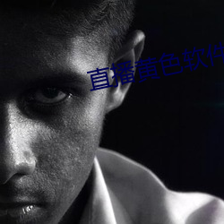 直播黄(黃)色软件