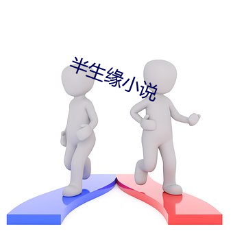 半生缘小说