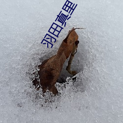 米乐M6·(中国)官方网站