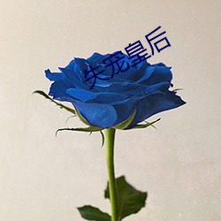 失宠皇后 （平话）