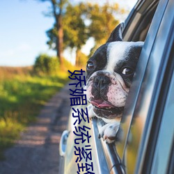 嬌媚系統緊致h
