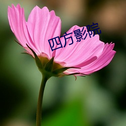 四方影(yǐng)院