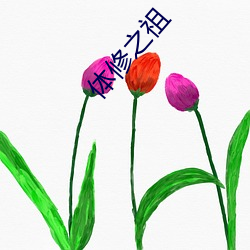 体修之祖 （图画文字）