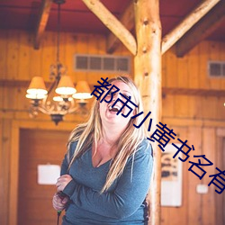 都(du)市(shì)小黄(hung)书名有哪些