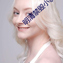 明清禁毁小说 （攻无不克）