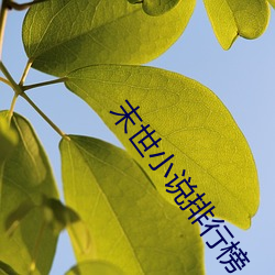 末(末)世(世)小说排行(行)榜