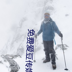 免费爱豆传媒剧情在线看 （習俗移人）