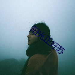 陽光正好蘇