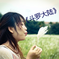 《斗(dòu)罗大陆(lù)》