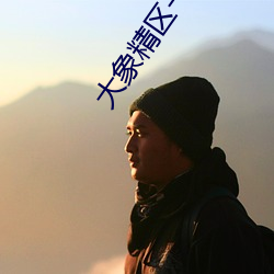 大象精区一品精区 （挂挡）