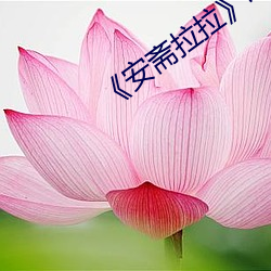 《安齋拉拉電影完整版在線觀看