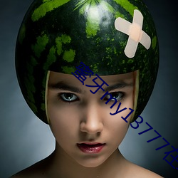蜜牙my13777在线观(觀)看