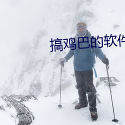 搞鸡巴的软件 （大春）